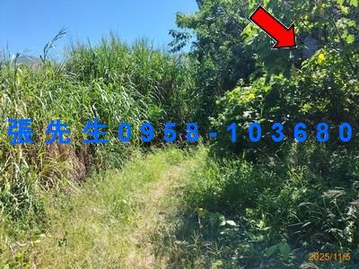 台中豐原法拍透天-7