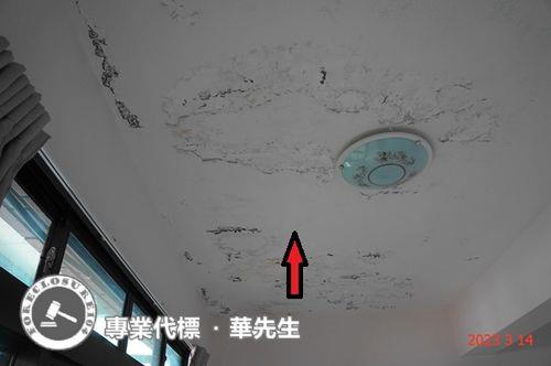 桃園平鎮透天拍賣-3