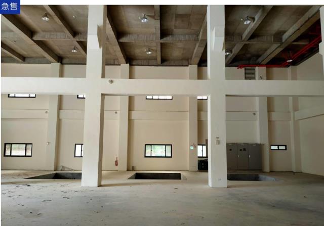 桃園龍潭廠房-2