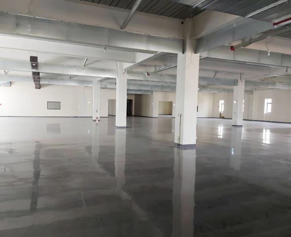 桃園楊梅廠房-1