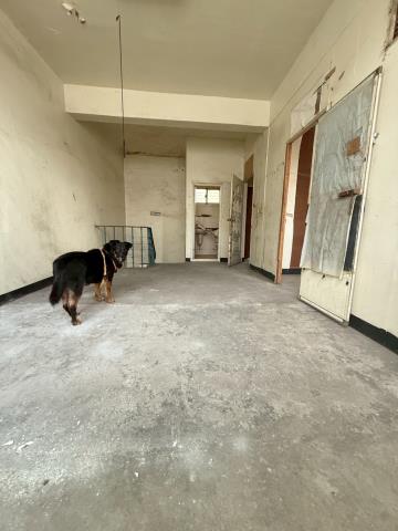 桃園龍潭透天-6