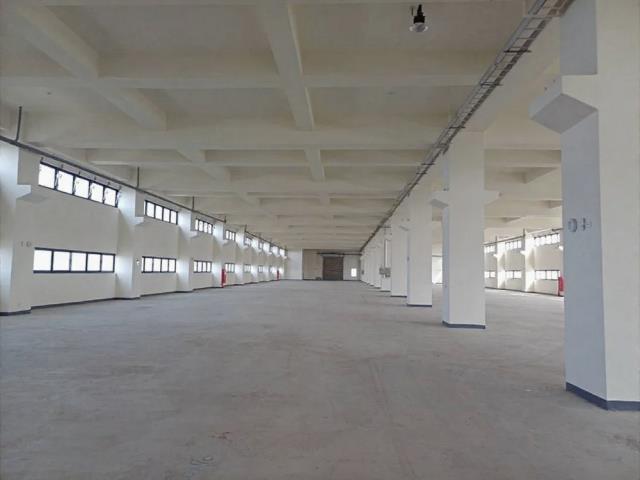 桃園觀音廠房-3