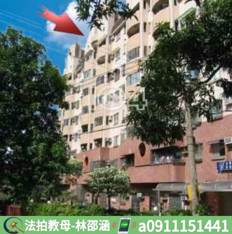 大樹法拍大樓-9