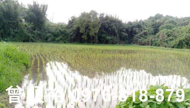 新竹竹東農舍-6