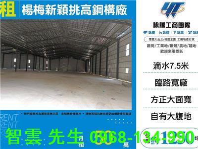 楊梅倉庫-1
