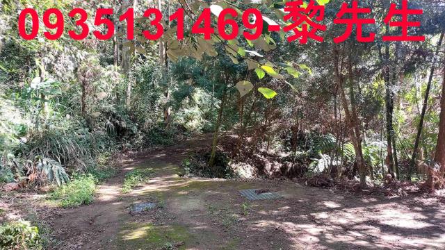 新竹橫山農舍-15