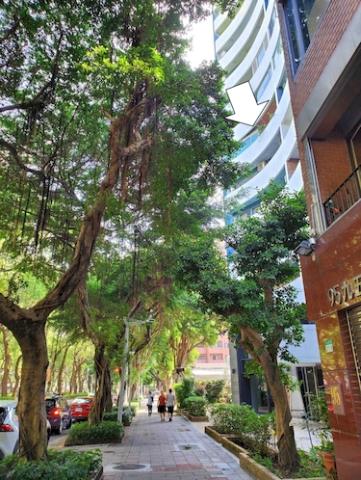 大安區大樓法拍-8