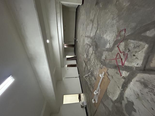 桃園龍潭廠房-2