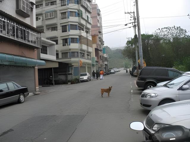 桃園區華廈法拍-5