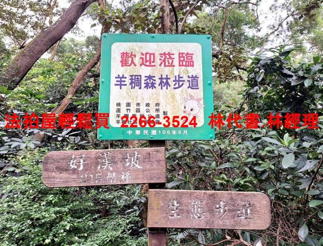 桃園蘆竹大樓法拍-13