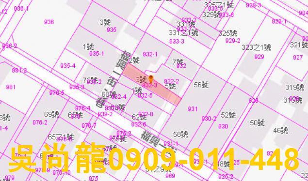 花蓮法拍透天-3