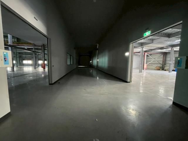 桃園廠房-4