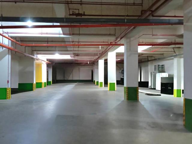 桃園八德廠房-2