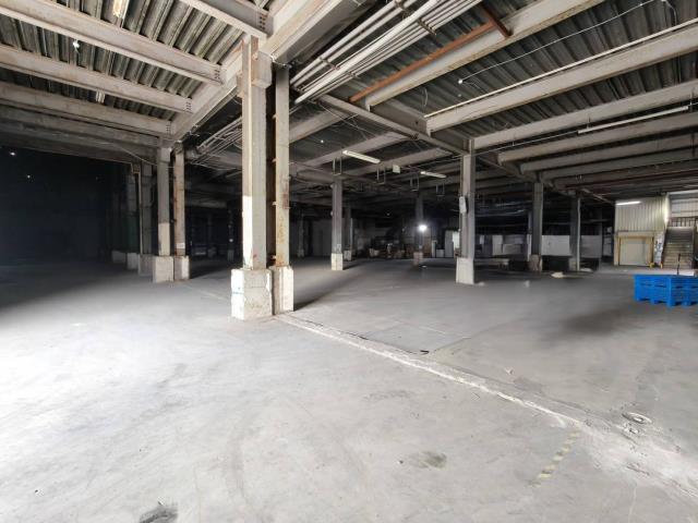 桃園中壢廠房-3