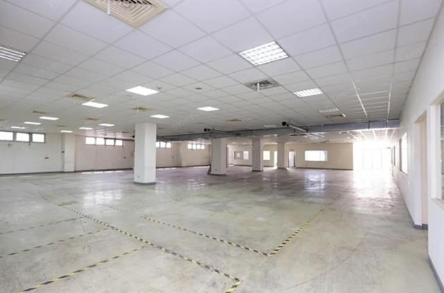 桃園平鎮廠房-3