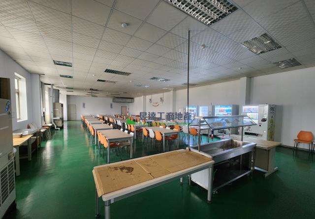 桃園平鎮廠房-2