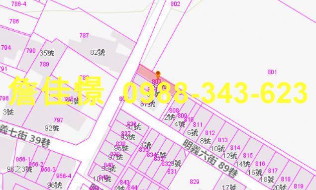 花蓮法拍透天-3