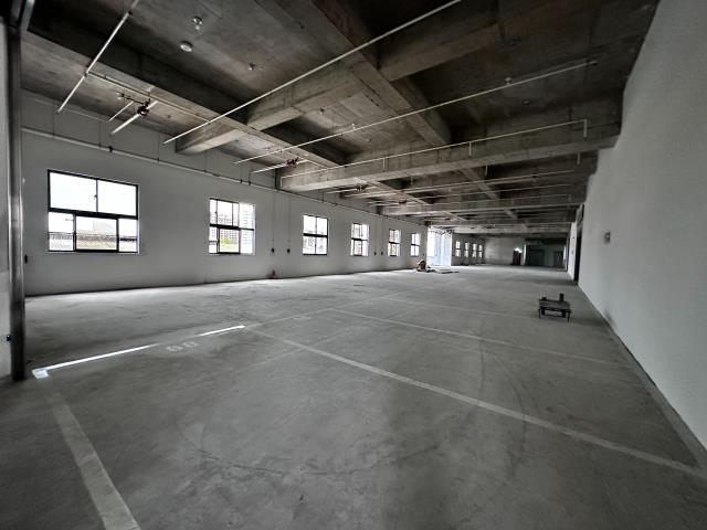 新北新莊廠房-1