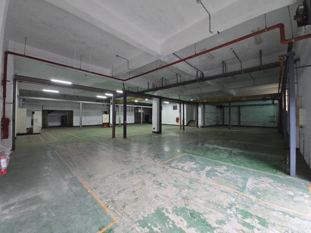 桃園中壢廠房-5