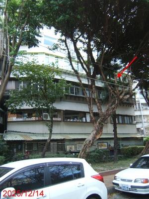 台北士林華廈法拍-2