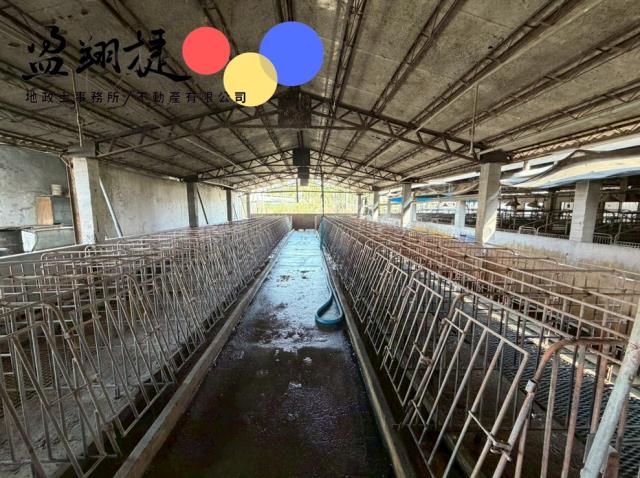 屏東麟洛豬舍-5