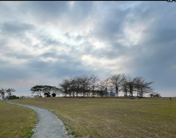 高雄法拍華廈-3