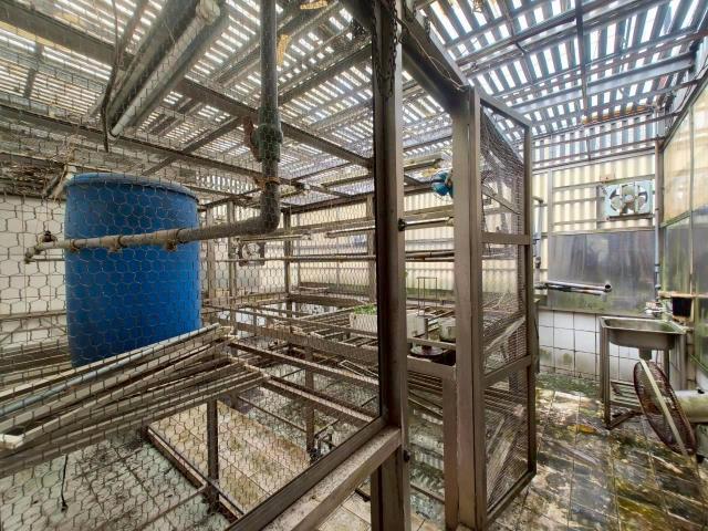 桃園中壢透天-2