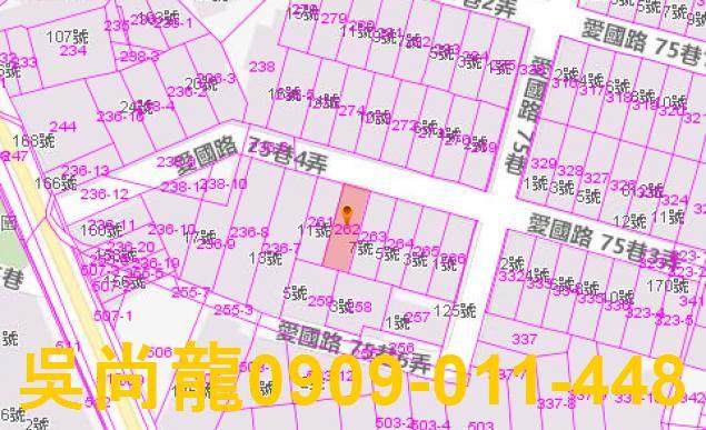 宜蘭法拍透天-3