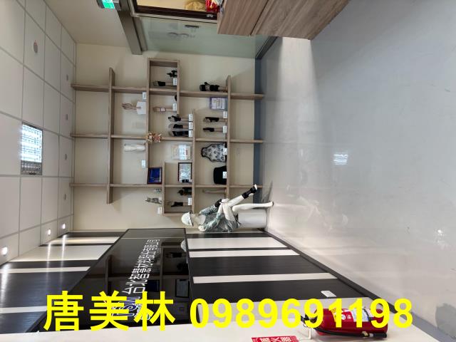 桃園龍潭廠房-1