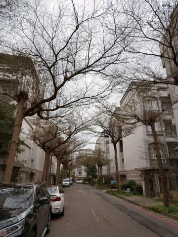 桃園別墅-13