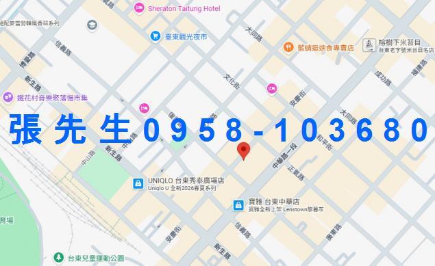 台東市法拍透天-5