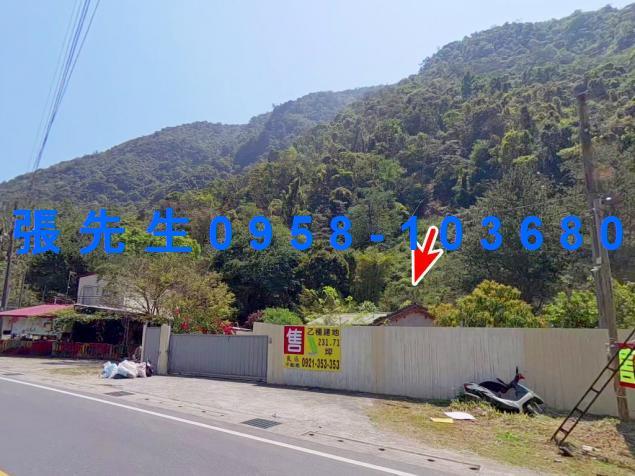 南投埔里一樓拍賣-4