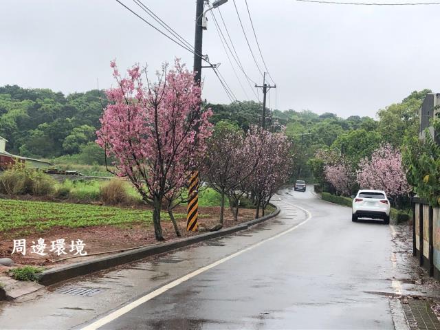 沙鹿透天-5