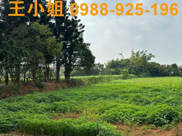 桃園中壢農舍-4