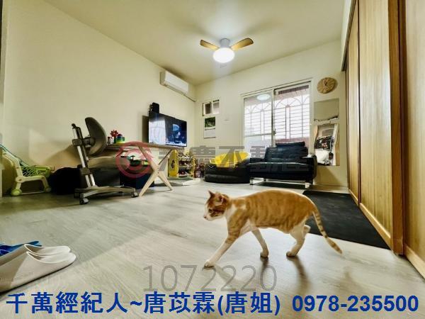 桃園華廈-15
