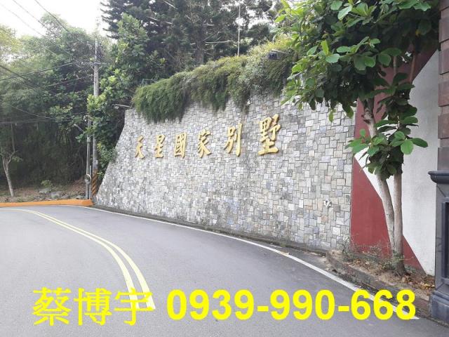 大坑天星國家別墅法拍
