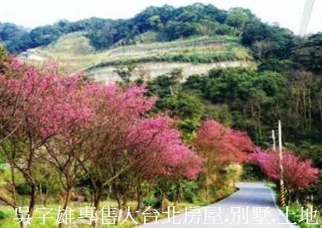 新北淡水透天-6