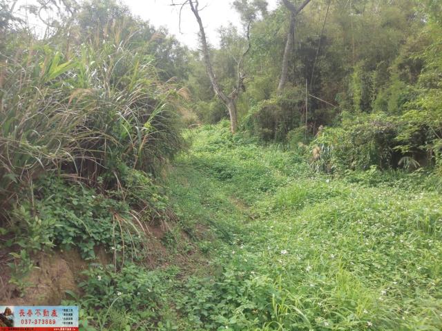苗栗山坡地-1