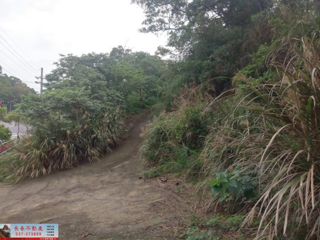 苗栗山坡地-3