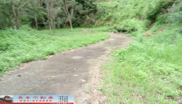 苗栗頭屋農地-6
