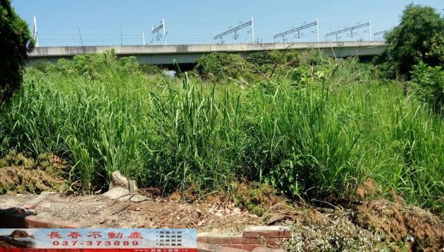 後龍農地-2