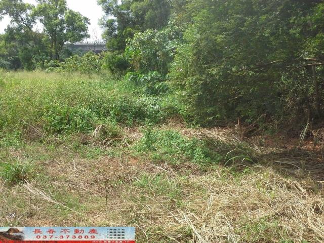 苗栗農地-1
