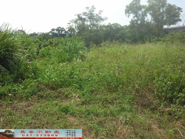苗栗農地-2