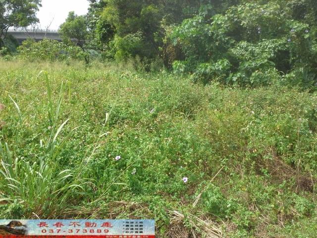 苗栗農地-3