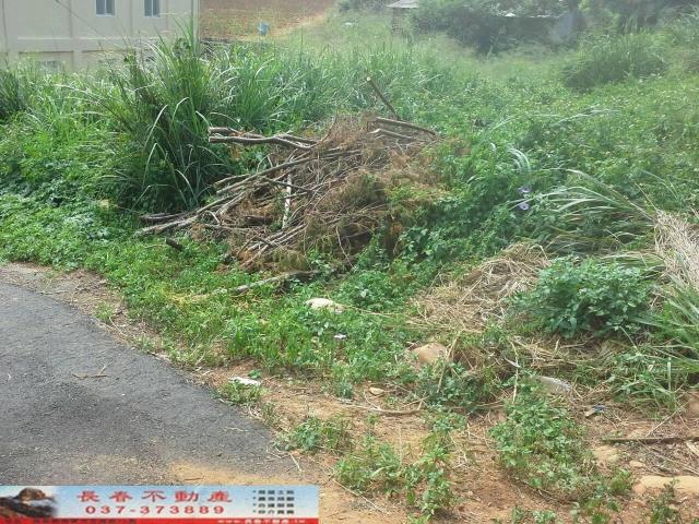 苗栗農地-4
