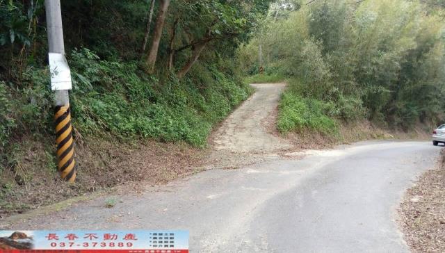 苗栗三灣林地-2