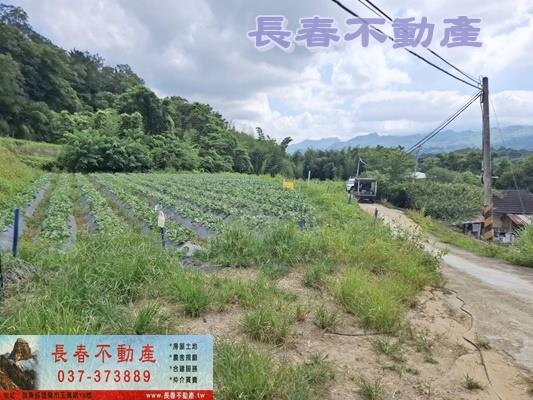 大湖建地-1