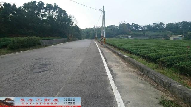 苗栗農地-4