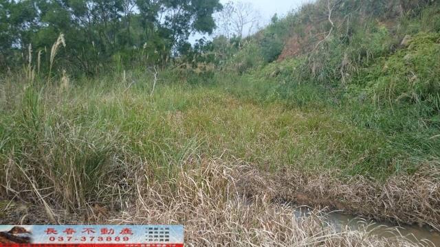 苗栗農地-9