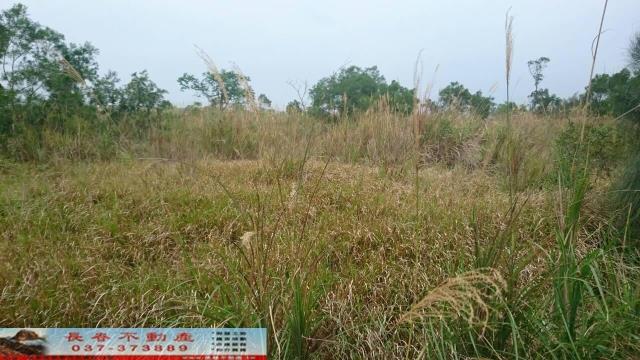 苗栗農地-1
